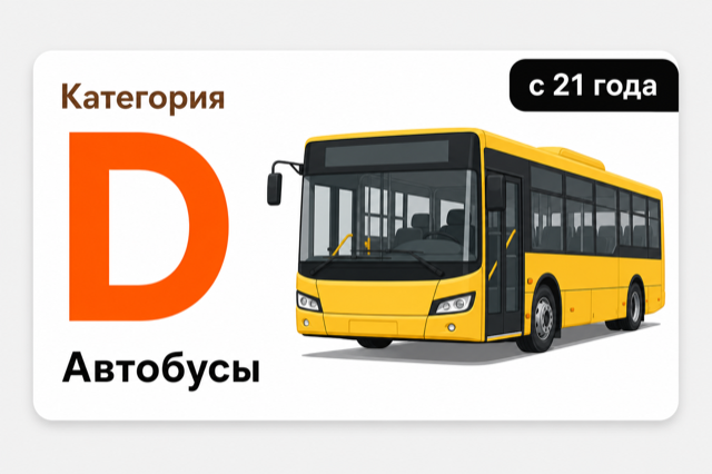 Права категории D — автобус